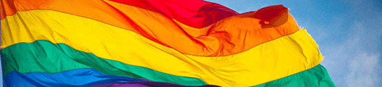 bandeira lgtbi